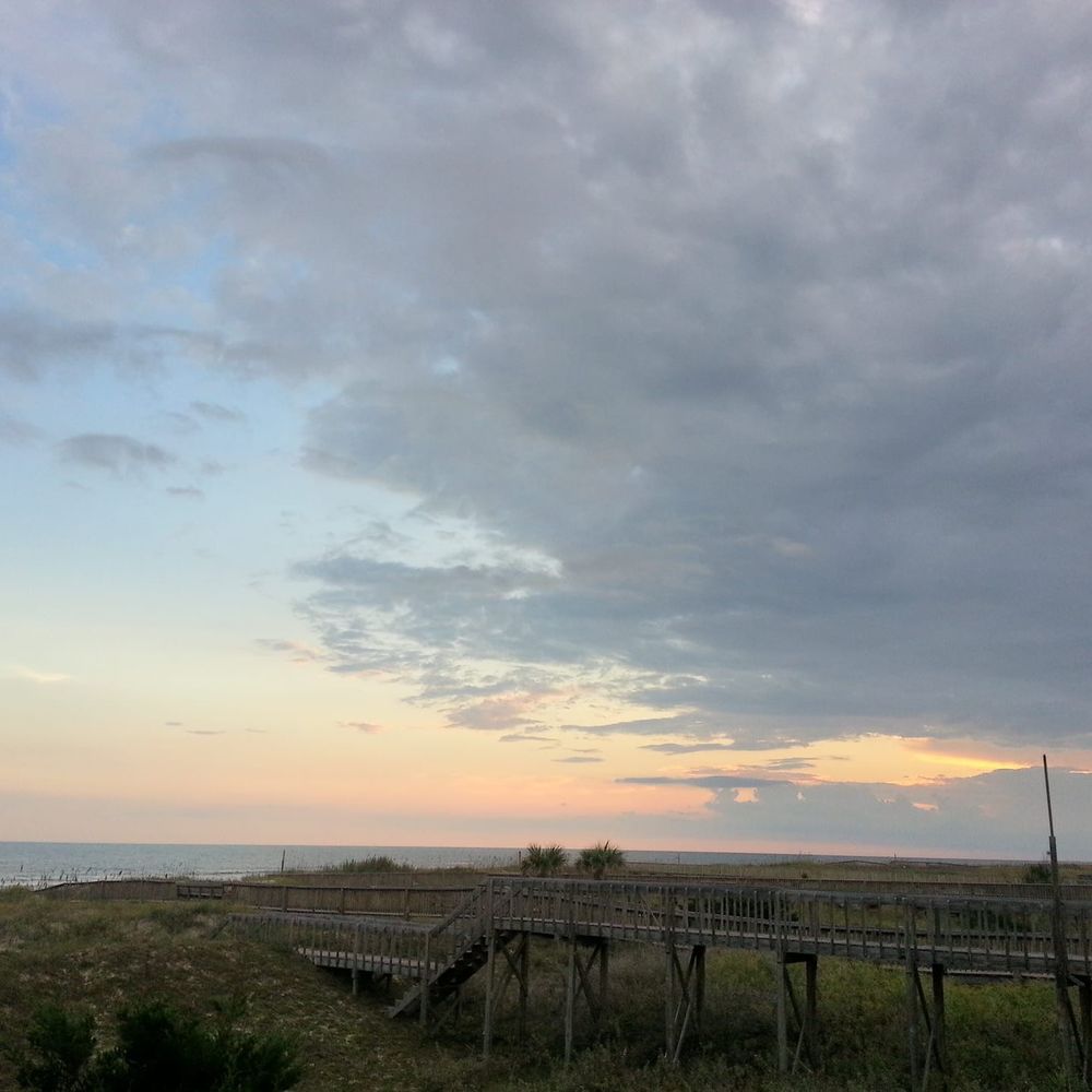 Meet your Posher, Sammy